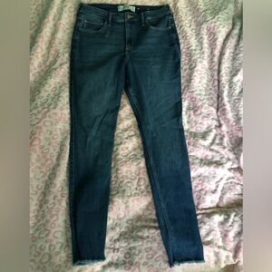 Hollister Classic Blue Jeans